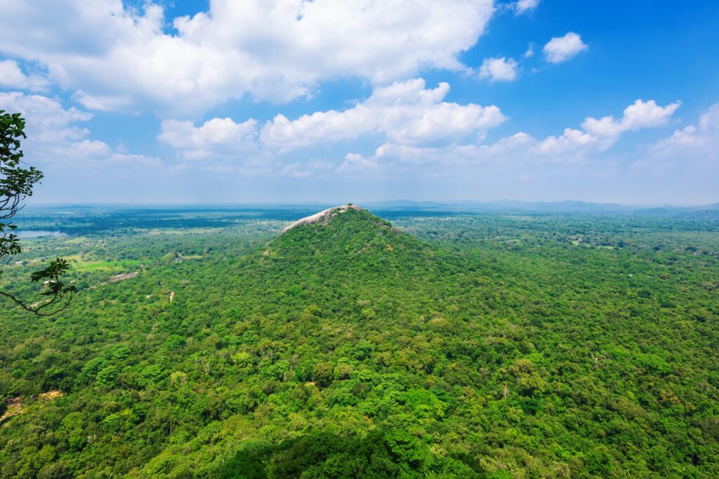 Beautiful view from Sigiriya