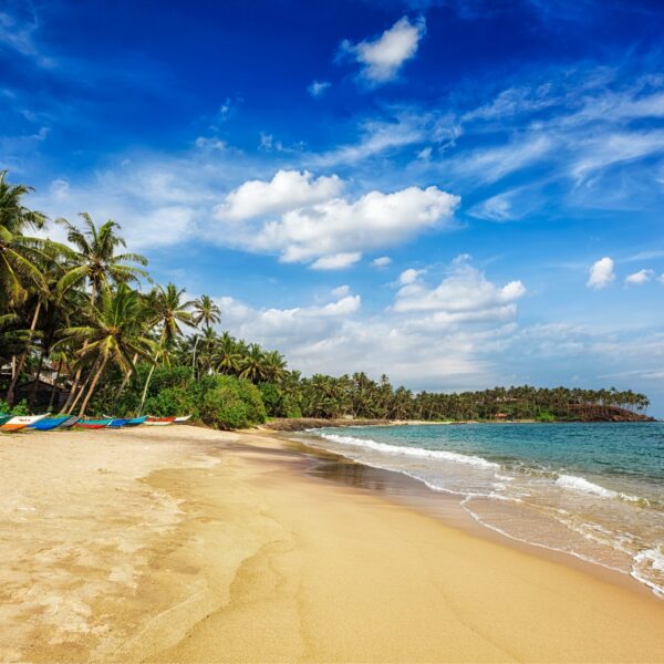 Mirissa beach, Sri lanka